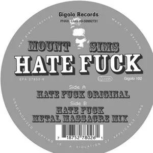 Pochette de Hate Fuck de Mount Sims