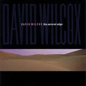 Pochette de The Natural Edge de David Wilcox