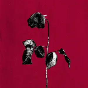 Pochette de dirty laundry (slowed) de blackbear