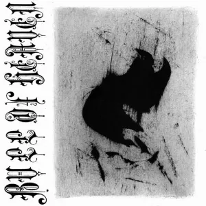 Pochette de XLI de Bull of Heaven