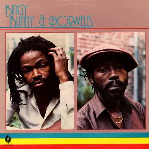 Pochette de Park Heights de Bingy Bunny - The Morwells