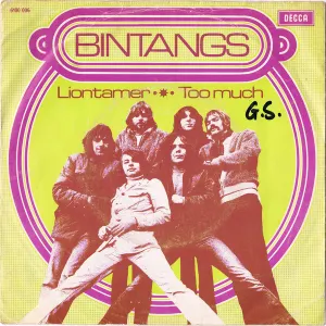 Pochette de Liontamer / Too Much de Bintangs