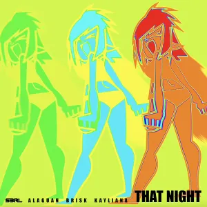 Pochette de That Night de DJ Brisk - S3RL