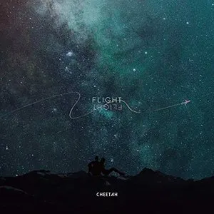 Pochette de Flight de CHEETAH