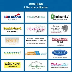 Pochette de Låter som miljarder de bob hund