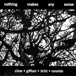 Pochette de Nothing Makes Any Sense de Lee Ranaldo - Nels Cline