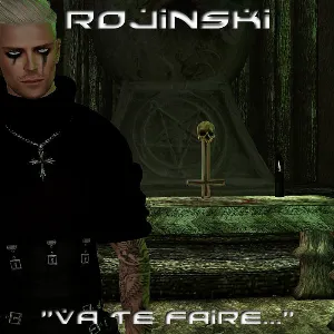 Pochette de Va te faire f***** ! de Rojinski