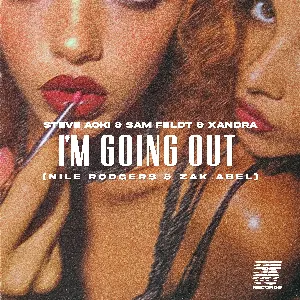 Pochette de I'm Going Out de Sam Feldt - Zak Abel - Steve Aoki - Nile Rodgers