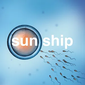 Pochette de The Sun Ship de The Brian Jonestown Massacre