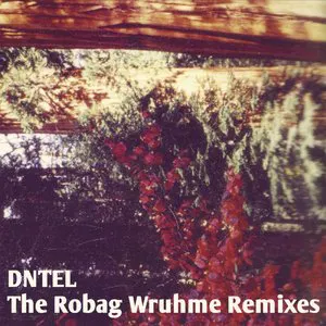 Pochette The Robag Wruhme Remixes