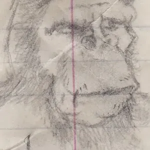 Pochette de Primate de Kevin Drumm