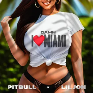 Pochette de Damn I Love Miami de Lil Jon - Pitbull