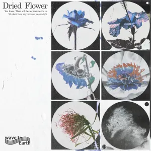 Pochette de dried flower de wave to earth
