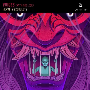 Pochette de Voices de NERVO