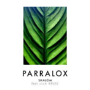 Pochette de Shalom de Parralox