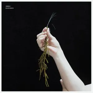 Pochette de Ecopoiesis de Umwelt