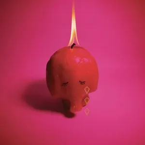 Pochette de Pink Elephant de Arcade Fire