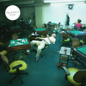 Pochette de Ship de The Notwist