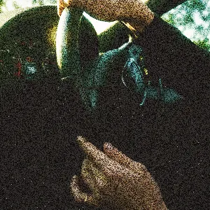 Pochette de The Ride de SWIM