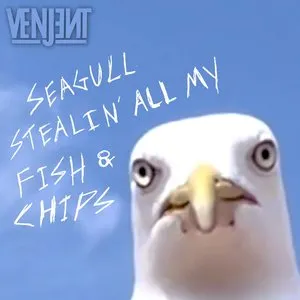 Pochette de Seagull Stealin’ all my Fish & Chips de Venjent