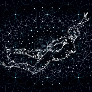 Pochette de Vega de Thomas Barrandon