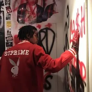 Pochette de Playboi Paradise de Playboi Carti