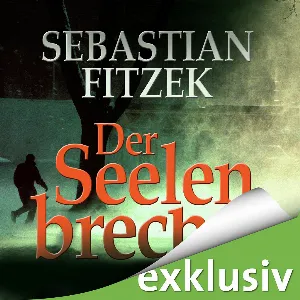 Pochette de Der Seelenbrecher de Sebastian Fitzek - Simon Jäger