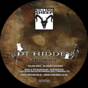 Pochette de Past the Flesh / Prayer's End de DJ Hidden