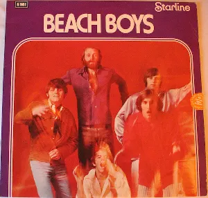 Pochette The Beach Boys