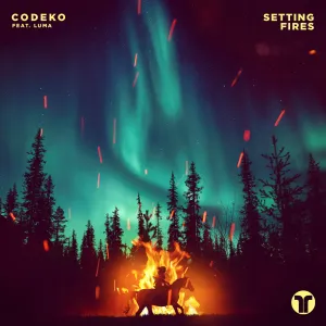 Pochette de Setting Fires de Codeko