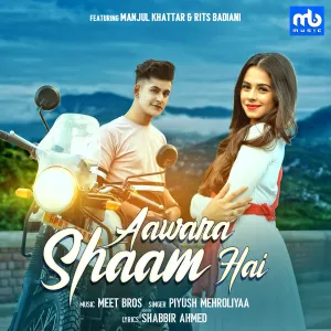 Pochette de Aawara Shaam Hai de Meet Bros