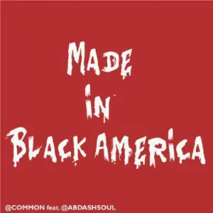 Pochette Made in Black America