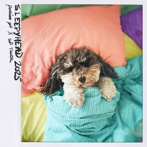 Pochette de Sleepyhead 2025 de Sofi Tukker - Passion Pit