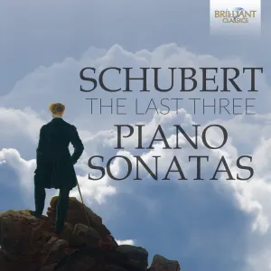 Pochette de The Last Three Piano Sonatas de Klára Würtz - Franz Schubert