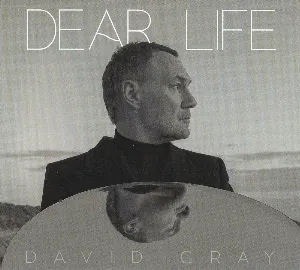 Pochette de Dear Life de David Gray