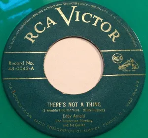Pochette de There's Not a Thing (I Wouldn't Do for You) / Don't Rob Another Man's Castle de Eddy Arnold