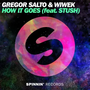 Pochette de How It Goes de Gregor Salto