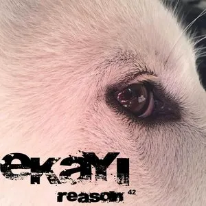 Pochette de Reason 42 de Kjiva