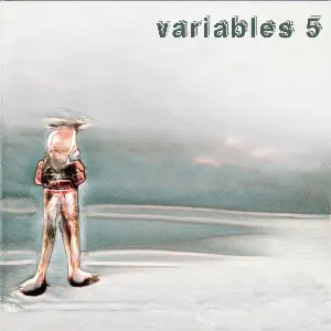 Pochette de Variables 5 de Boson Spin