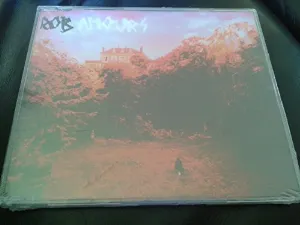 Pochette de Amours de Rob
