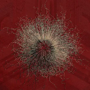 Pochette de Viral Hysteria de Bleed From Within