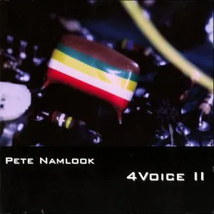 Pochette de 4Voice II de Pete Namlook
