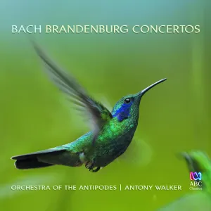 Pochette de Brandenburg Concertos de Johann Sebastian Bach