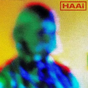 Pochette de The Sun Made for a Soft Landing de HAAi