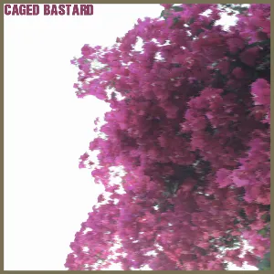 Pochette de Straight Hate to God de Caged Bastard