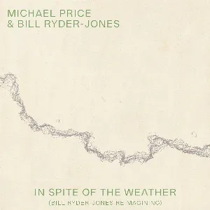 Pochette de In Spite of the Weather (Bill Ryder-Jones Re-Imagining) de Bill Ryder-Jones