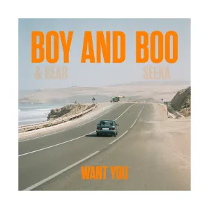 Pochette de Want You de Boy & Bear