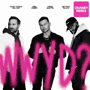 Pochette What Would You Do? (CHANEY remix)