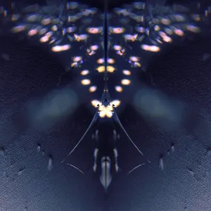 Pochette de Meanderings de Árstíðir