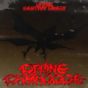 Pochette de Drone Damaggge de Destroy Lonely